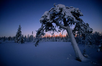 joulun_kk_02_web_small